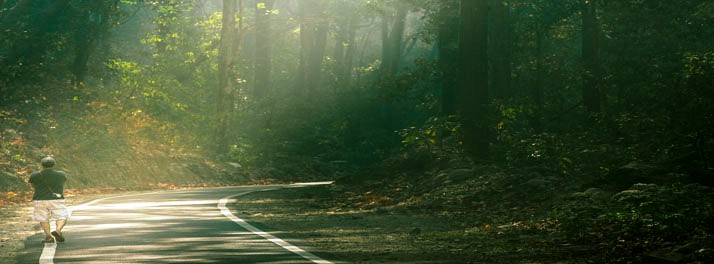 2528/lebua - Jim Corbett National Park 02.jpg